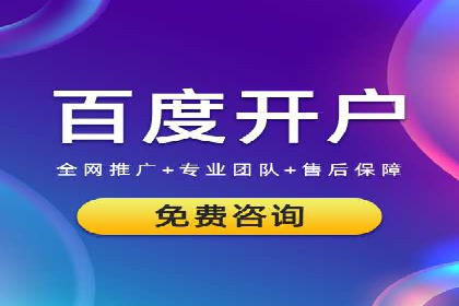 案例对比：不同竞价广告平台的优劣